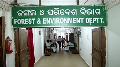 Odisha Forest Dept