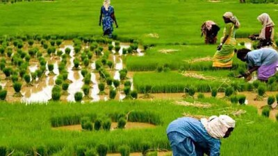Farm-fund