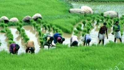 Farm loan waiver scheme