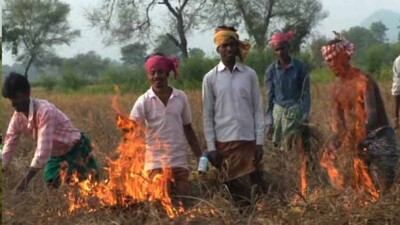 Farmers-torch-pady