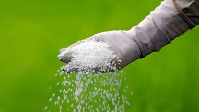 Fertilizers