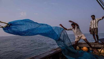 Fishing