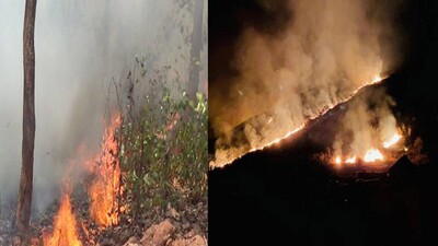 Forest-Fire-Simlipal