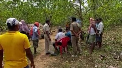 Elderly Couple Found Murdered At Cashew Orchard In Odisha’s Ganjam