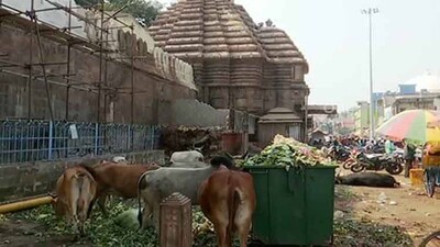 Garbage-heaps in- Puri