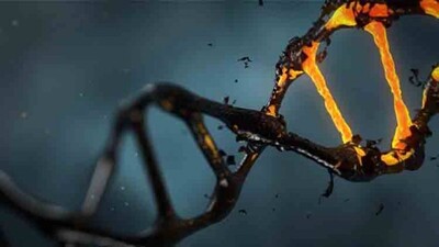 Genetic-disorder