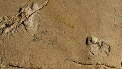 Ghost-foot-prints