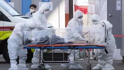 Global-Death-Toll