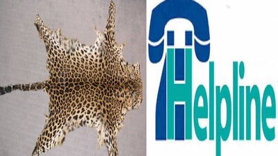 HELPLINE