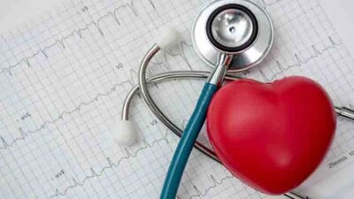 Heart