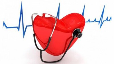 Heart