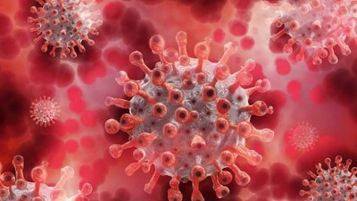 coronavirus