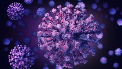 coronavirus