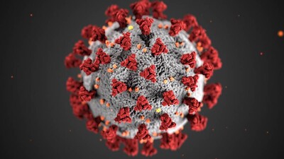 Coronavirus Pandemic