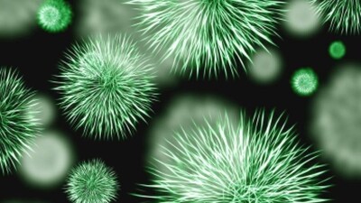 bacterial disease
