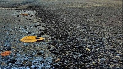 Environment Protection Initiative: Himachal Pradesh Uses Plastic Waste To Build Roads