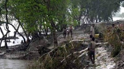 'Yaas' Ruins Century Old Enchanting Colonial Seaside Sunderban Retreat