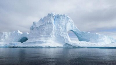 Tackle biodiversity, climate crises together: Experts