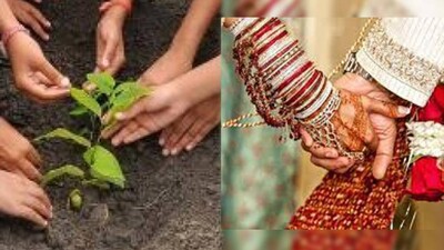 Plant A Tree, Get Married; UP Village Makes Tree Plantation Mandatory For Newlyweds
