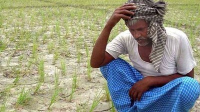 Sharecroppers Of Odisha