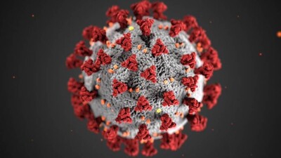 Coronavirus