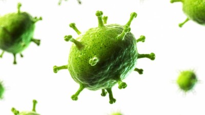 Covid Recovery Doesn't Guarantee Antibodies, Immunity To Re-Infection