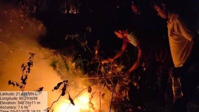 Forest Fires