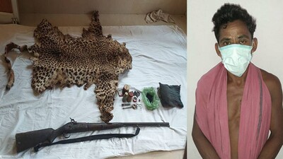 Odisha Police Seize 15 Leopard Skins In Past One Year