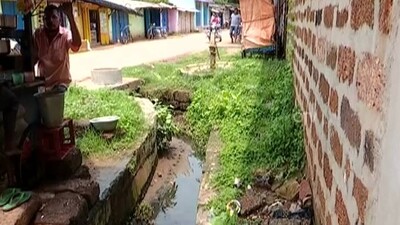 Covid Battered Khordha District In Grip Of Dengue 