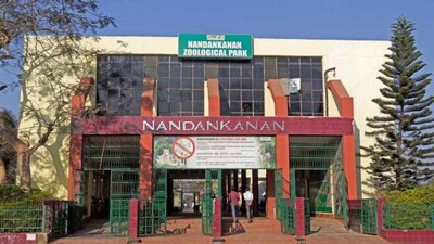 Bhubaneswar Nandankanan Zoo gets new guests under animal exchange