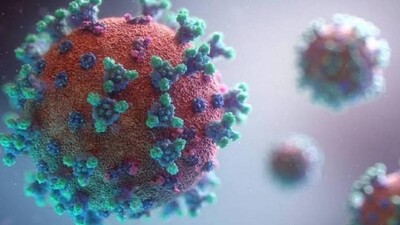 COVID19: Scientists Find Drug Cocktail Effective Against Delta, Beta Variants