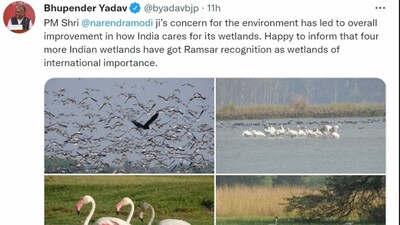 4 More Indian Sites Added To Ramsar List As Wetlands Of International Importance
