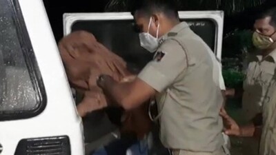 Thriving Brown Sugar Trade In Odisha's Balasore Puts Police On Toes 