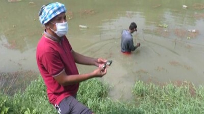 Engineer Turned Farmer