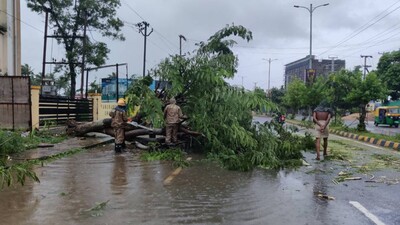 tree uprooted in Bhubaneswar