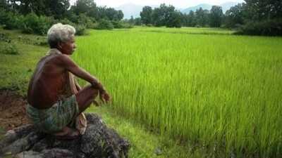 Farmer In odisha