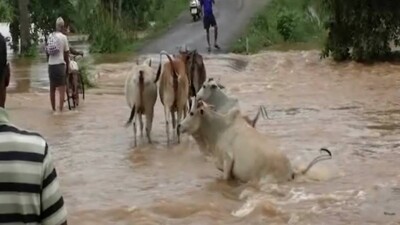 Odisha floods 