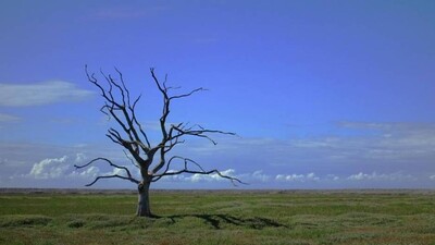 Climate Change