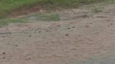 Cyclone Gulab Leaves Trail Of Destruction In Koraput, 103 Villages Affected, 325 Houses Damaged
