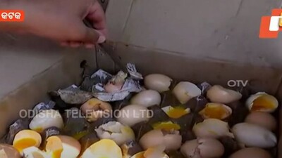 CMC Seizes 10 Cartons Of Rotten Eggs During Supply To A Bakery Unit