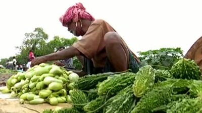High Inflation: In Odisha, Vegetable Plate Turns Too Hot To Handle!