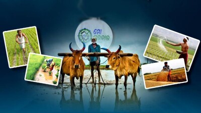 5T Feedbacks Show Odisha Govt Schemes Unable To Wipe Tears Of Farmers