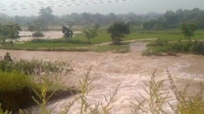 Breach In Indravati South Canal Embankment 
