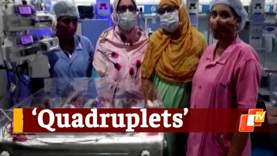 Quadruplets Babies