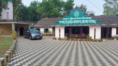 Athagarh Forest Officials In Soup For Burying Dead Tusker With Gunshot Wounds