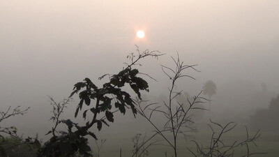 Winter Chill Sets In Odisha