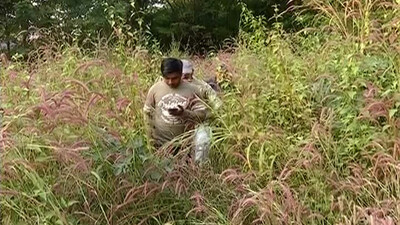  Irregularities In Land Registration