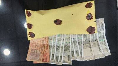 Brown Sugar Worth Rs 30 Lakh Seized From Bhubaneswar Outskirts, Press ID Card Found On Buyer