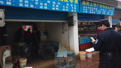 First Known COVID-19 Case Was Vendor In China's Animal Market In Wuhan: Study