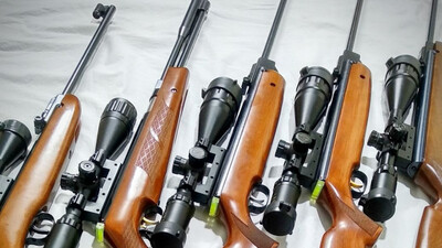 Online Firearms Sale: Delhi Police Arrests 1, Know Details